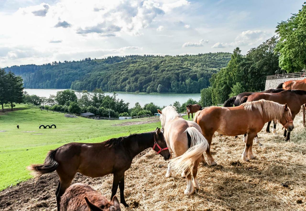 Lesniczowka Wiezyca I Domki Szymbark  Exterior foto